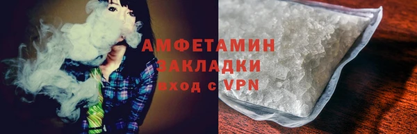 молекула духа Арсеньев