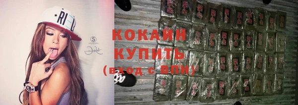 молекула духа Арсеньев