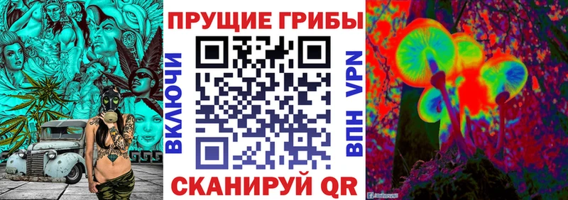 Псилоцибиновые грибы Cubensis  Муравленко 
